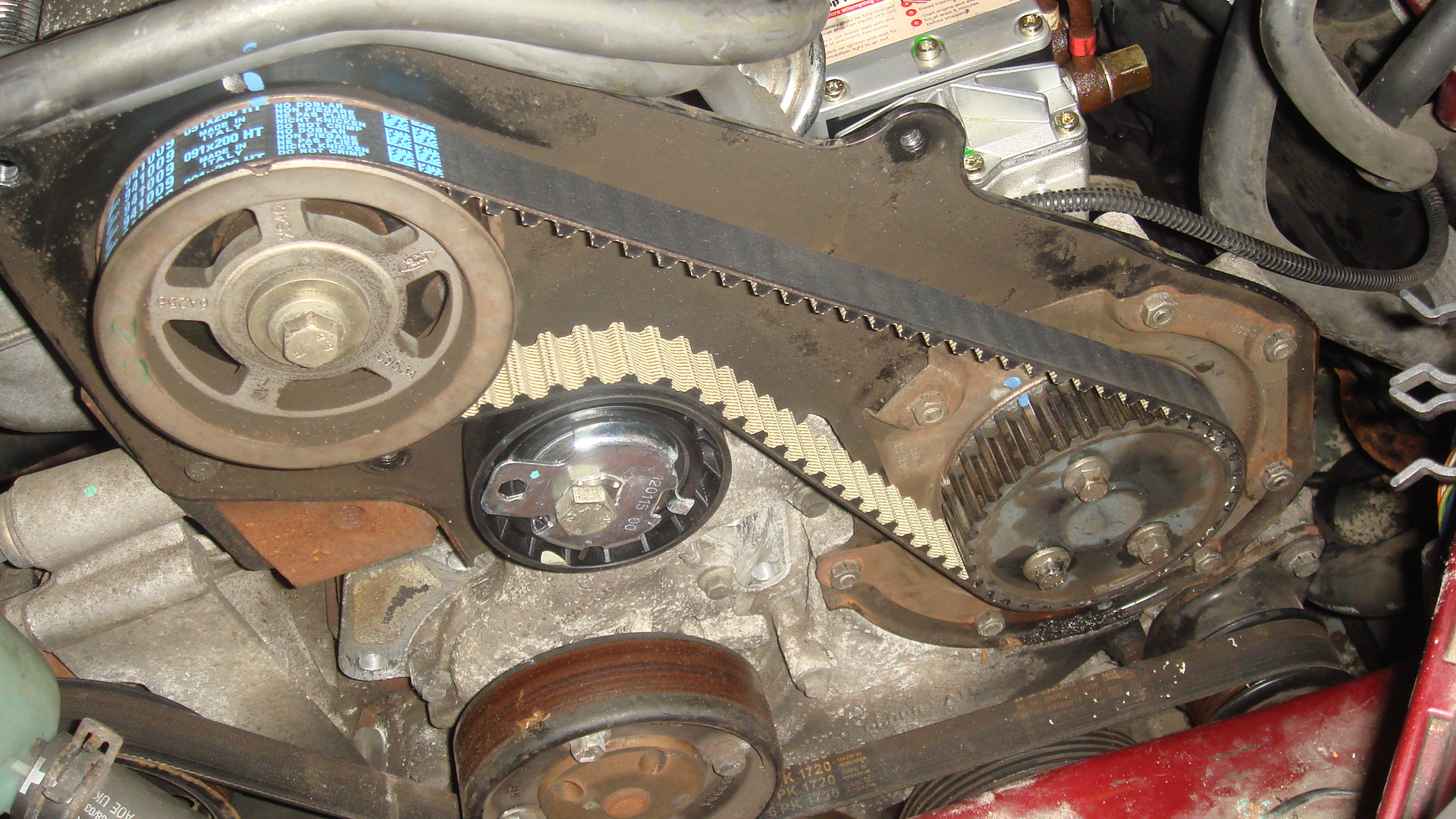 Fiord Focus 1.8 TDDI pump timing